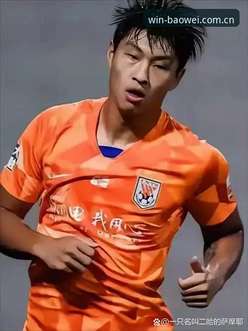 足协禁足名单深度对比：终身禁赛与5年禁赛，谁才是中国足球的“毒瘤”？