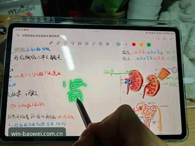 宝威体育平台新手使用完整指南：从注册到流畅体验的全流程解析
